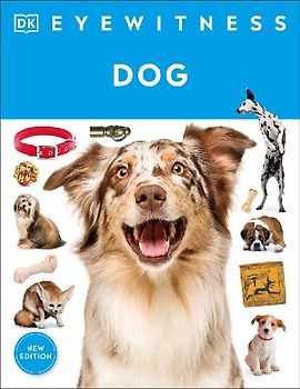 Eyewitness Dog