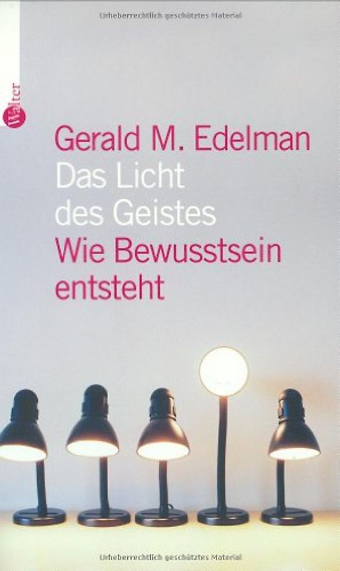 Das Licht des Geistes