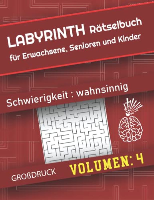 Labyrinth Rätselbuch Volumen 4: Großdruck Rätselbuch Labyrinth für Erwachsene, Senioren und Kinder, Viel Spaß mit 150 verschiedene Labyrinthe, 153 Seiten, 3 Niveaus (Schwierigkeit: wahnsinnig)