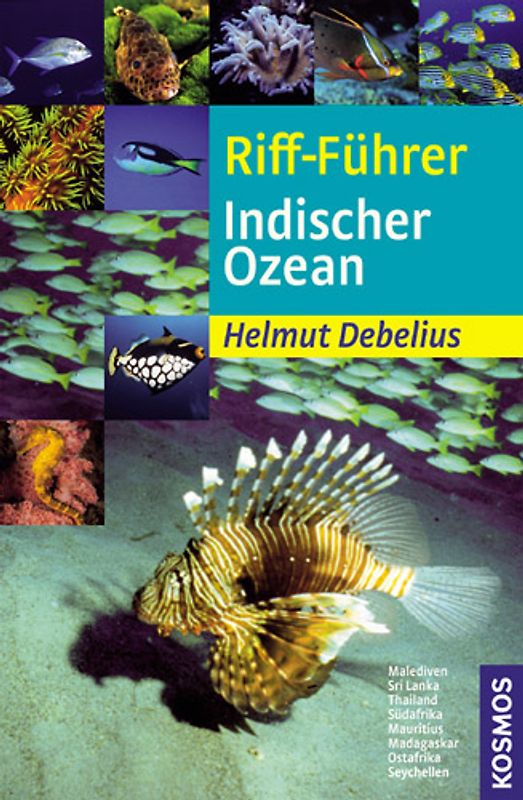 Riff-Führer Indischer Ozean