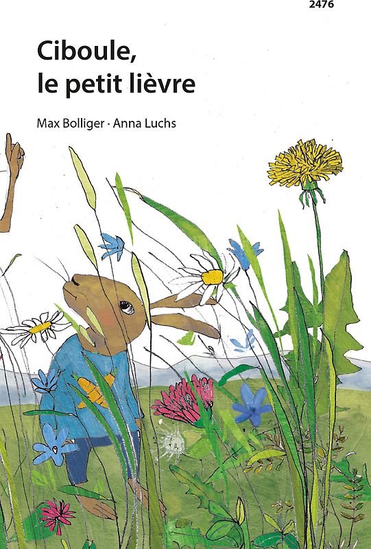Ciboule, le petit lièvre