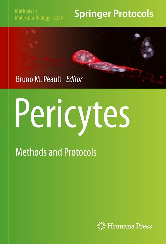 Pericytes