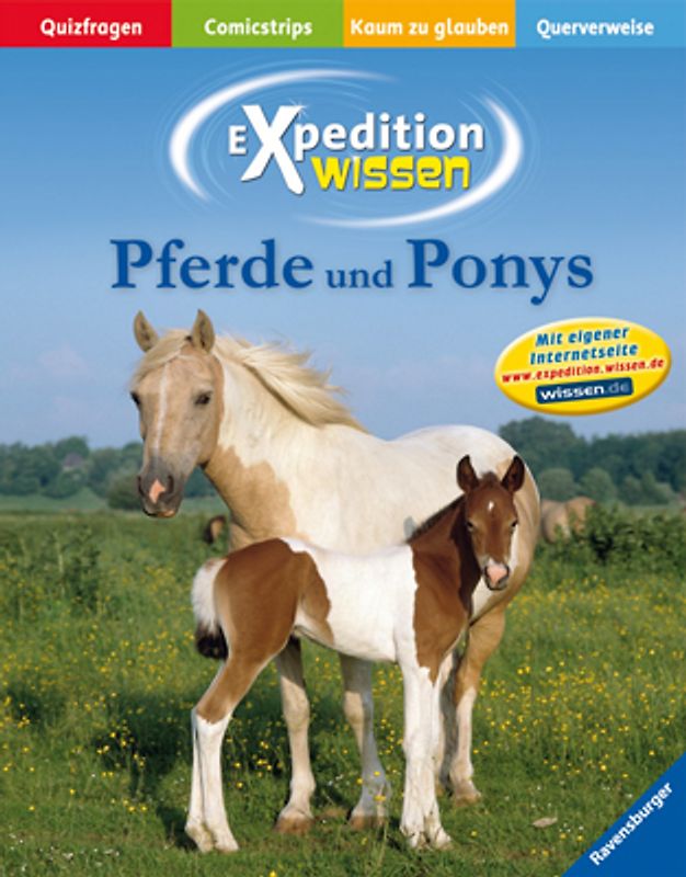 Pferde und Ponys