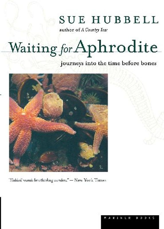 Waiting for Aphrodite