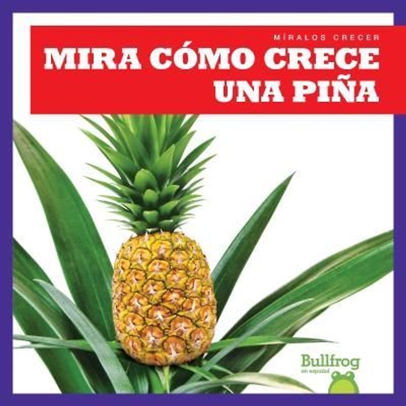 Mira Cómo Crece Una Piña (Watch a Pineapple Grow)