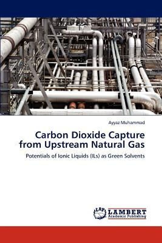 Carbon Dioxide Capture from Upstream Natural Gas