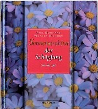 Sonnenstrahlen der Schöpfung