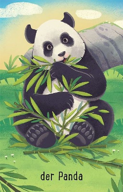 Schnapp und weg! Das superschnelle Kartenspiel: Im Zoo