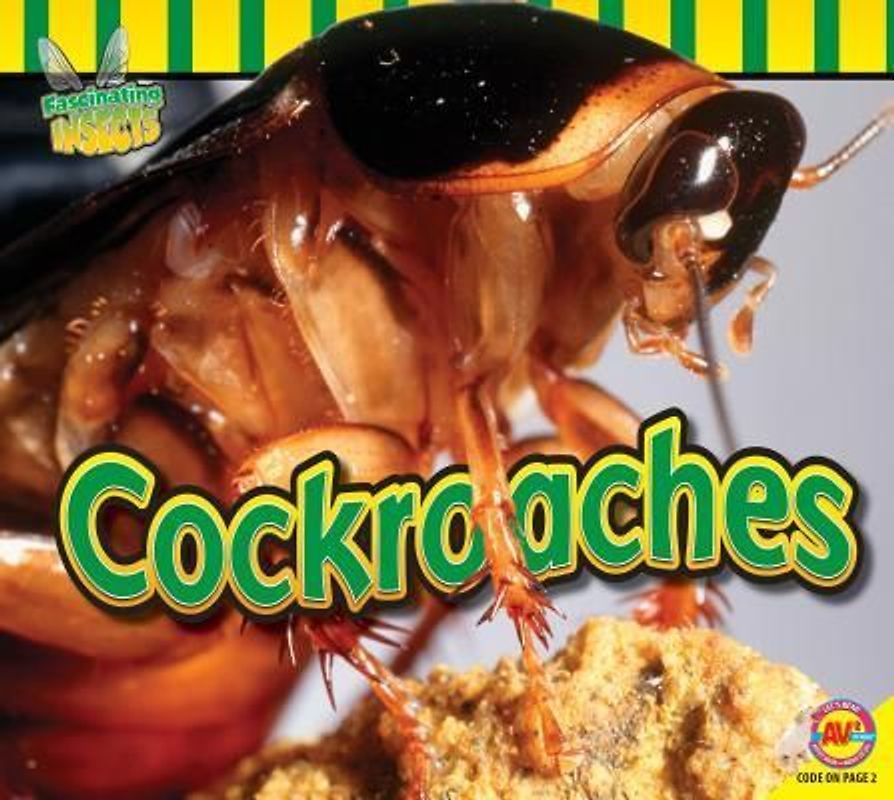 Cockroaches