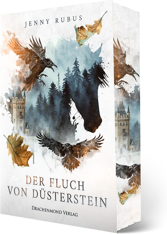 Der Fluch von Düsterstein