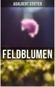 Feldblumen