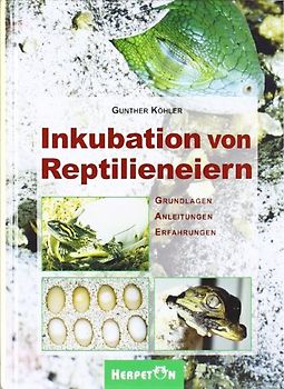 Inkubation von Reptilieneiern