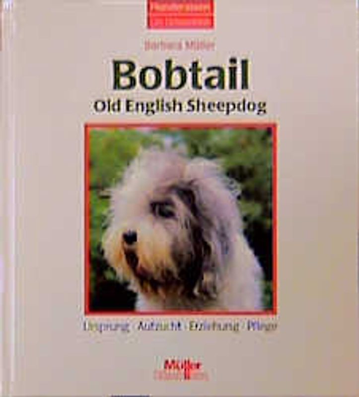 Bobtail Old English Sheepdog