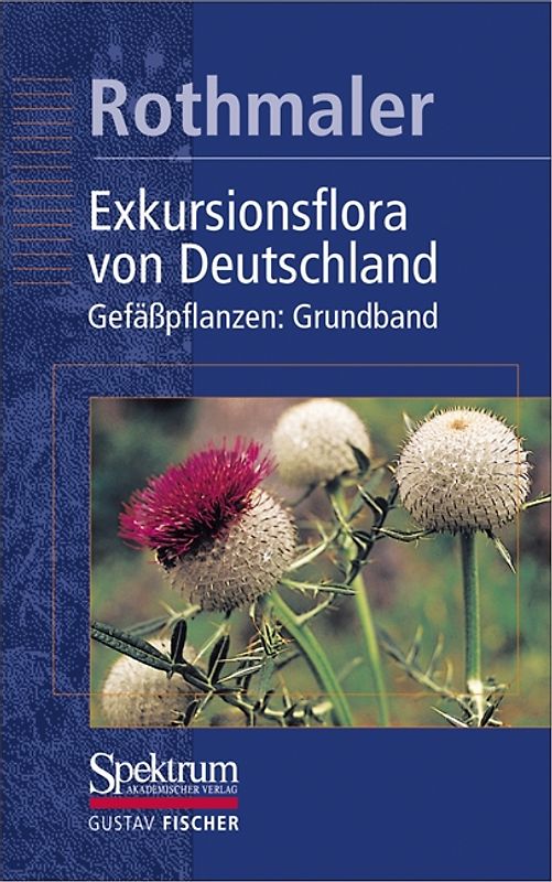 Rothmaler - Exkursionsflora von Deutschland. Bde. 1-4: Gesamtwerk. (1994-2005) / Gefässpflanzen: Grundband