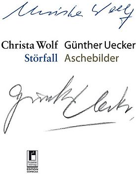 Störfall Aschebilder