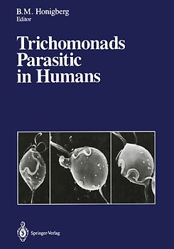 Trichomonads Parasitic in Humans
