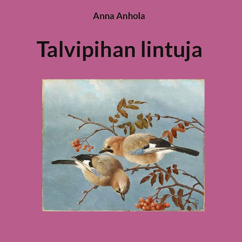 Talvipihan lintuja