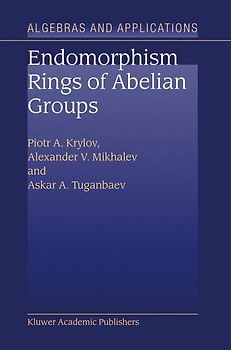 Endomorphism Rings of Abelian Groups