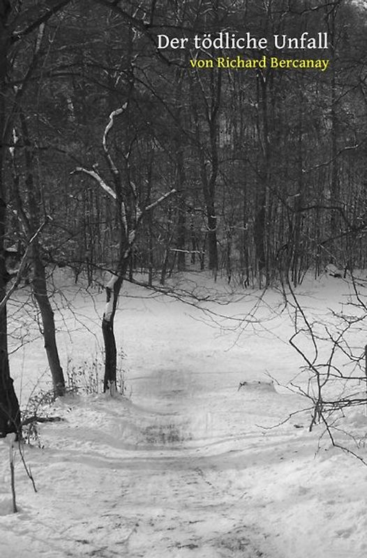 Der tödliche Unfall