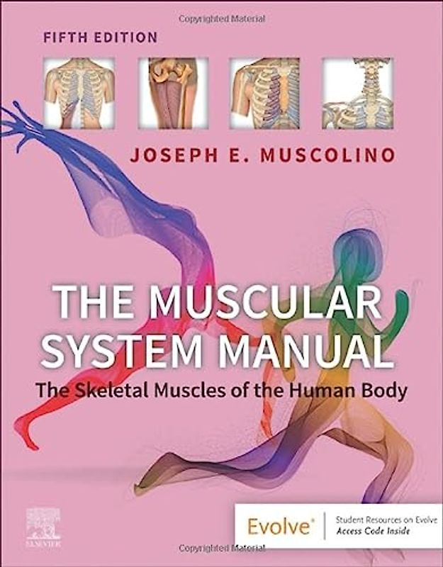 The Muscular System Manual