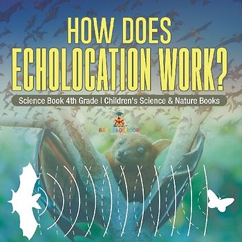 How Does Echolocation Work? Science Book 4th Grade | Children's Science & Nature Books