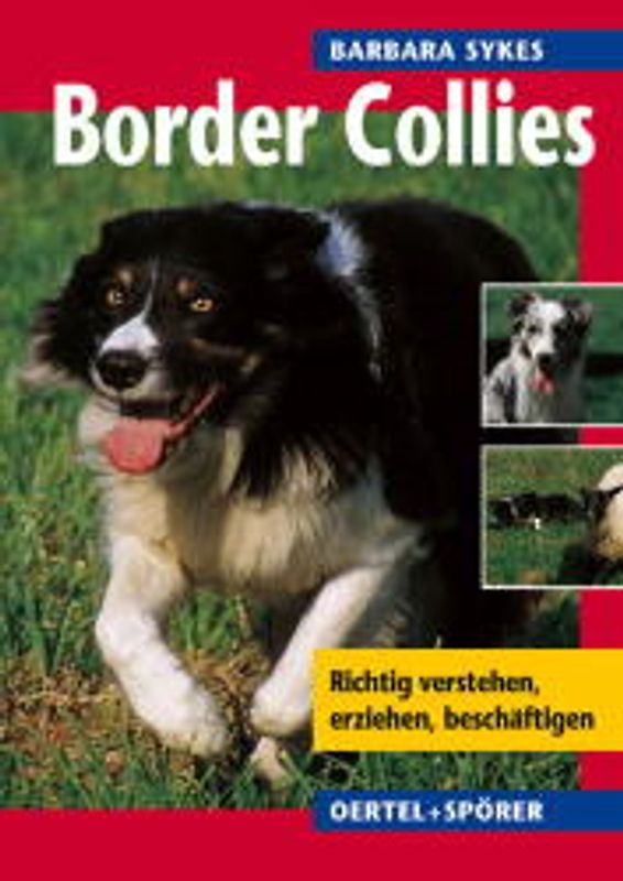 Border Collies