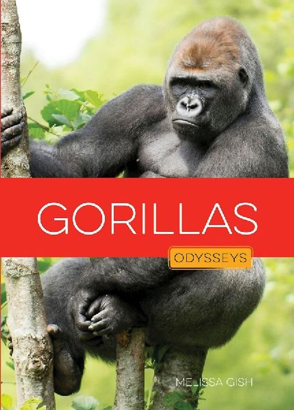 Gorillas