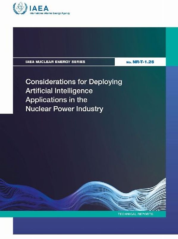 Considerations for Deploying Artificial Intelligence Applications in the Nuclear Power Industry