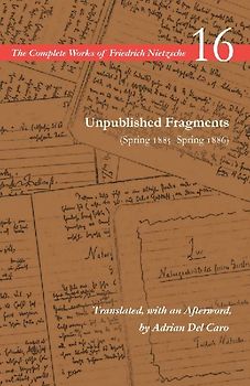 Unpublished Fragments (Spring 1885-Spring 1886)