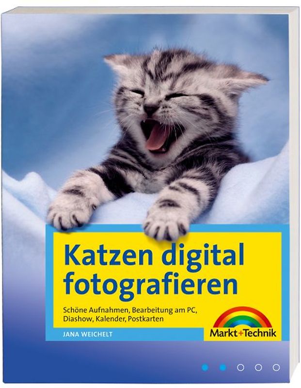 Katzen digital fotografieren