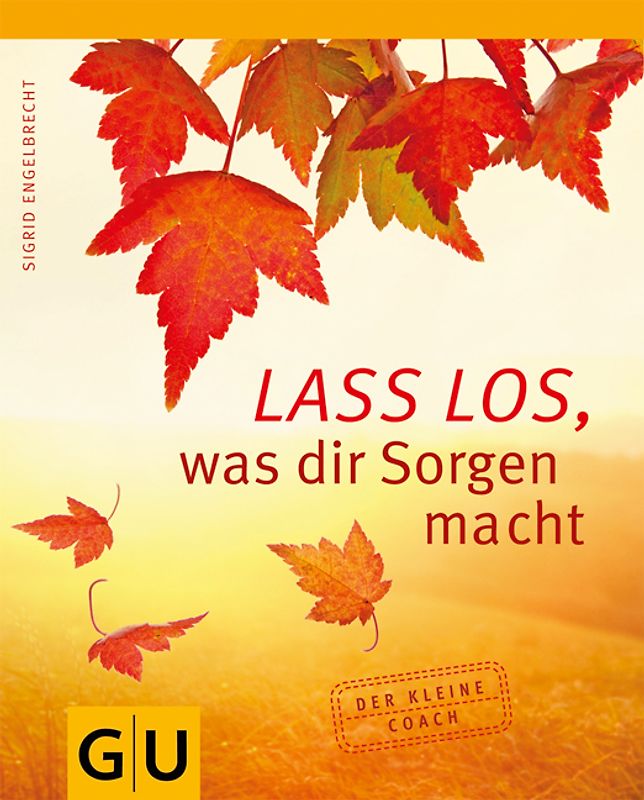 Lass' los, was dir Sorgen macht!