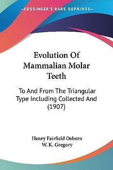 Evolution Of Mammalian Molar Teeth