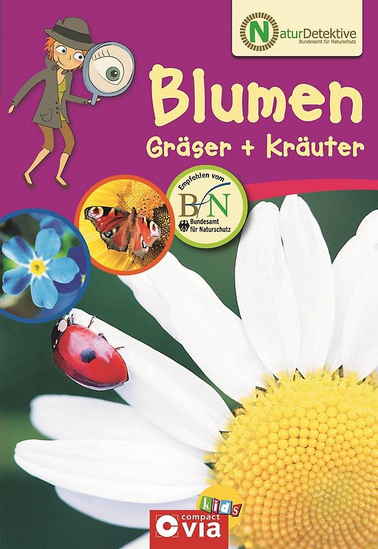 Blumen, Gräser & Kräuter