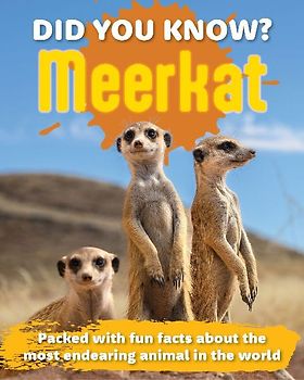 Did You Know? Meerkat