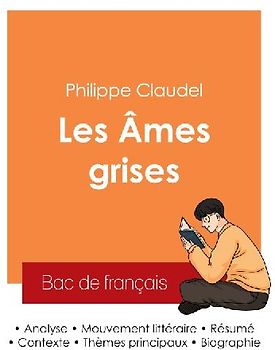Réussir son Bac de français 2025 : Analyse du roman Les Âmes grises de Philippe Claudel