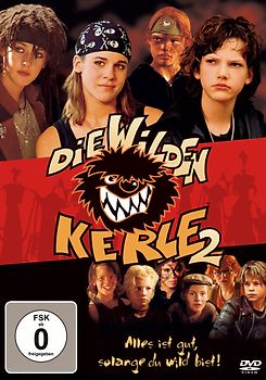 Die wilden Kerle 2 DVD