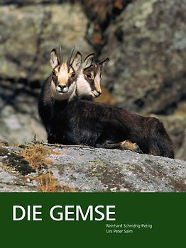Die Gemse – Biologie und Jagd