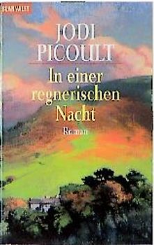 In einer regnerischen Nacht