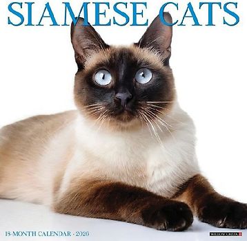 Siamese Cats 2026 12 X 12 Wall Calendar