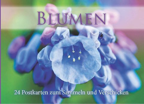 Blumen - Postkarten