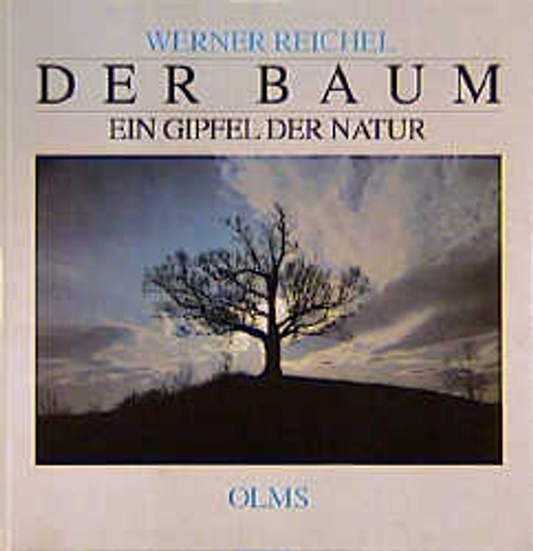 Der Baum - Ein Gipfel der Natur