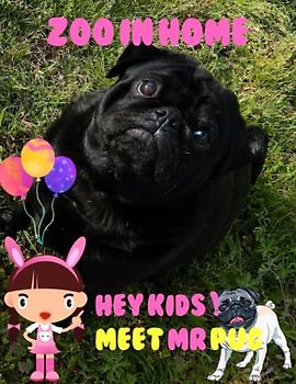 ZOO IN HOME HEY KIDS ! MEET MR PUG: Zoo In Home Pug Picture Book: 40 Amazing Images of these Cute & Funny Pug Dogs- Perfect Gift for kids, Coffee Table Book Paperback – April 14,2023.