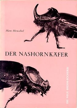 Der Nashornkäfer