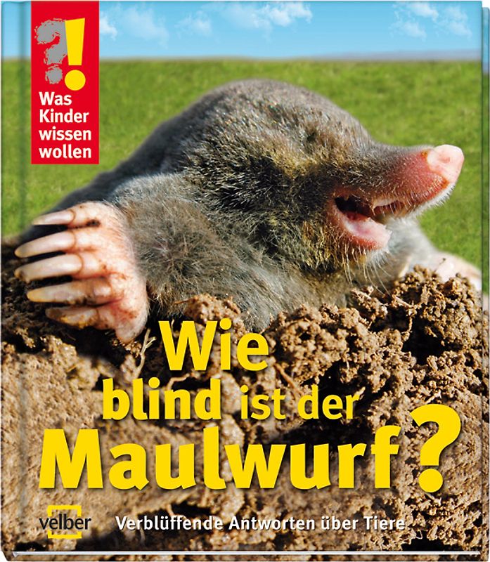 Wie blind ist der Maulwurf?