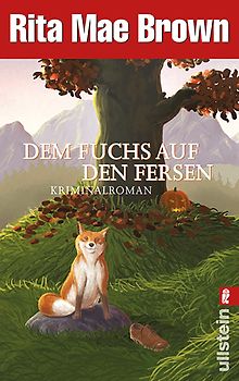 Dem Fuchs auf den Fersen