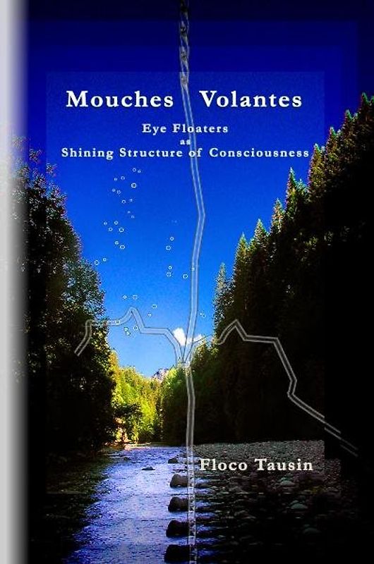 Mouches Volantes