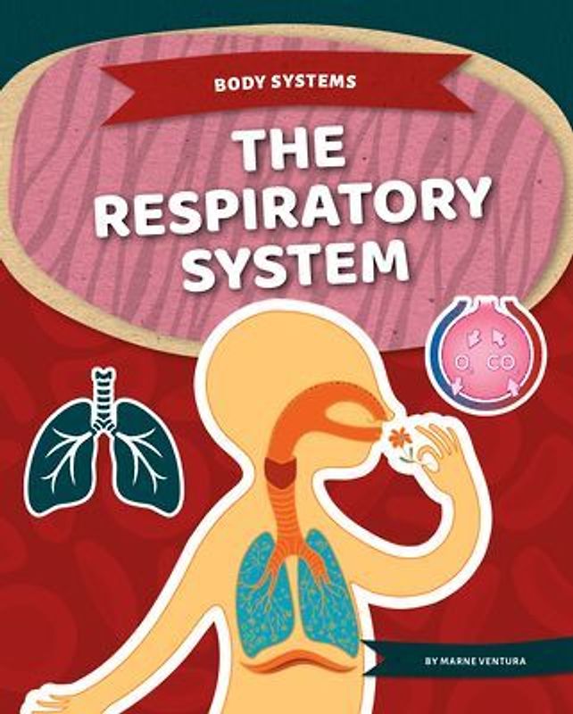 Respiratory System