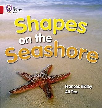 Shapes on the Seashore