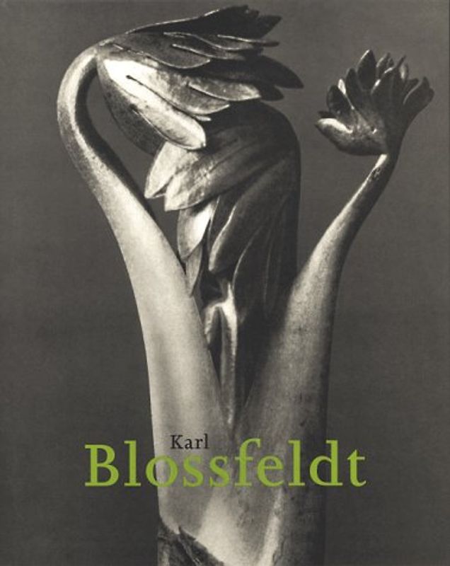 Karl Blossfeldt. Das fotografische Werk
