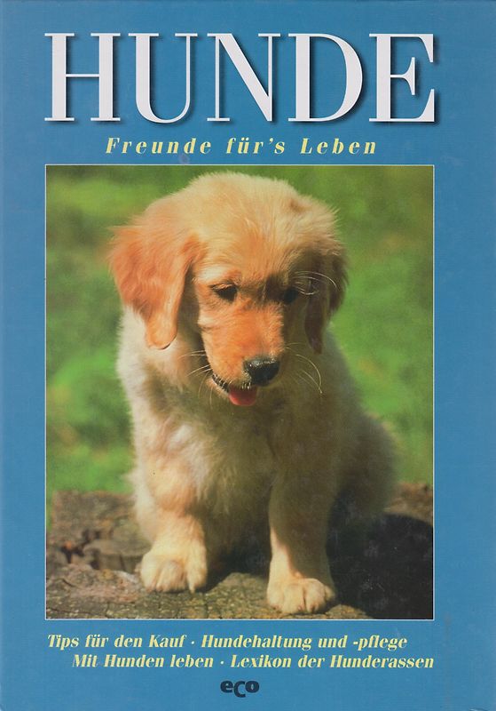 Hunde: Freunde für´s Leben - Holger Vornholt [Gebundene Ausgabe]